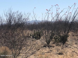 TBD Camino Obregon Unit 68, Rio Rico, AZ 85648