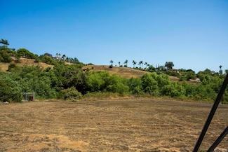 31801 Wrightwood Rd, Bonsall, CA 92003