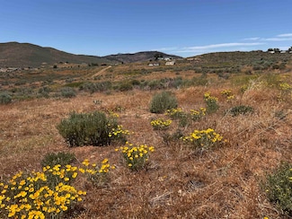 95015 Half Mile Rd, Portola, CA 96105
