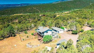21236 Uintah Rd, Cedaredge, CO 81413