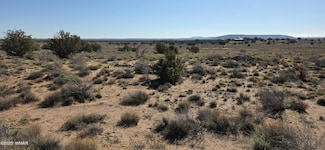 5085 Concho Ocho Rd, Snowflake, AZ 85937