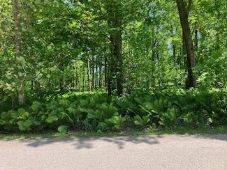 TBD Maple Isle Ct Unit 34, Littlefield Township, MI 49706