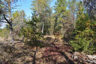 L7 Donna Mae Ln, Buena Vista, WI 53556