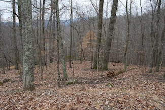 0 Hickory Falls Rd Unit 360588, Blue Ridge, VA 24064