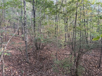 0 Coosa County Road 118 Unit 177178, Rockford, AL 35136