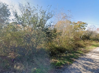 0 Quinto Unit 23669891, Brazoria, TX 77422