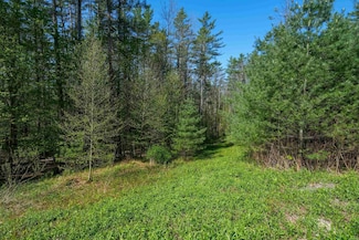 0 Cedar Dr, Ludlow, VT 05149