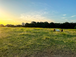 0 Tbd Lightning Bug Ln, Goodman, MO 64843