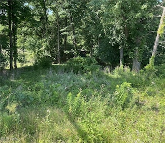 0 Hills And Dales Rd NW Unit 5138797, Canton, OH 44708
