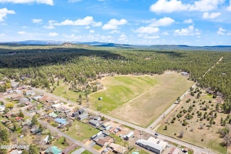 931 W Woodland Lake Rd Unit 13, Lakeside, AZ 85929