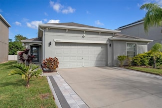 10026 Crested Fringe Dr, Riverview, FL 33578