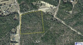 TBD Old Nichols Hwy, Nichols, SC 29581