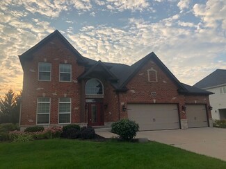 12846 Grande Pines Blvd, Plainfield, IL 60585