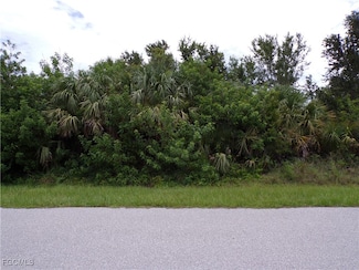 14170 Bethesda Ln, Port Charlotte, FL 33981