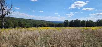 212-A Hill Rd, Danby, NY 14001