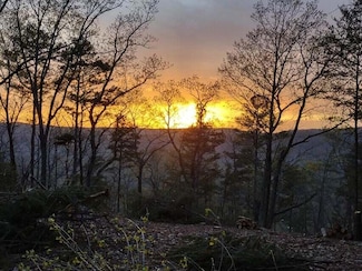 5370 Old State Rd, Menlo, GA 30731