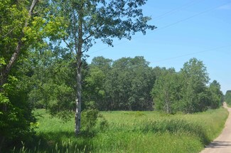 +/-3.83 Kapitz Rd, Rib Lake, WI 54470