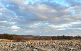0 Township Road 462, Washington Township, OH 44842