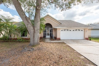 9415 Pebble Glen Ave, Tampa, FL 33647