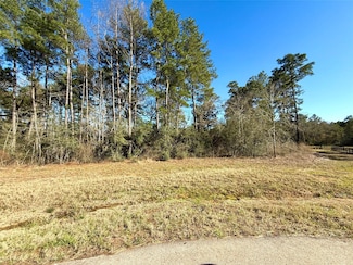 26601 Buchanan Ct, Magnolia, TX 77355