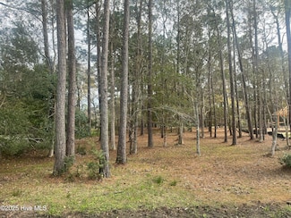 359 Genoe's Point Rd SW, Lockwoods Folly, NC 28462