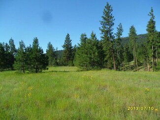 0 Broken Pine Dr Unit 762470, Republic, WA 99166