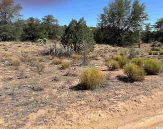 1X Chaparral Trail, Silver City, NM 88061