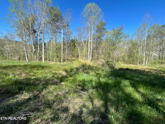 14 Sloan Rd, Vonore, TN 37885