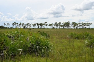 0 County Line Rd E Unit LotWP001, Fort Meade, FL 33841