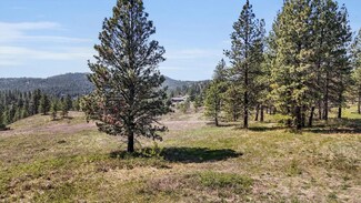 12XXX S Valley Chapel Rd Unit Lot 2, Valleyford, WA 99036