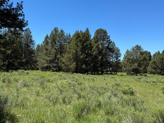 0 Nfd 440 Rd Unit 220184517, Chiloquin, OR 97624