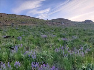 15 Bonner Lake Rd, Twisp, WA 98856