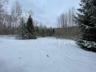 00 Meadowview Trail, Hudson Township, MI 49730