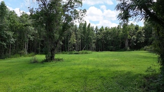 0 Rowdy Ln, Green Pond, SC 29446