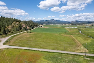 xxx Heine Rd, Chewelah, WA 99109