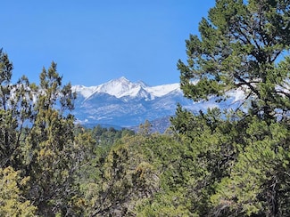 TBD L Path, Cotopaxi, CO 81223
