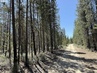 0 National Forest Development Road 9768 Unit TL 300 773556573, Crescent, OR 97733