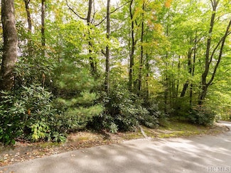 000 Trillium Ct, Sapphire, NC 28774