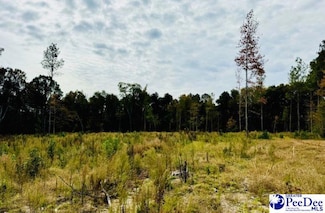 0000 Santa Anita Rd (Lot 9), Cheraw, SC 29520