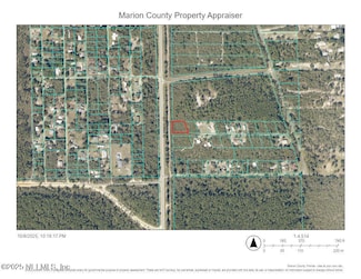 0 NE 78th St Unit 2113007, Salt Springs, FL 32134