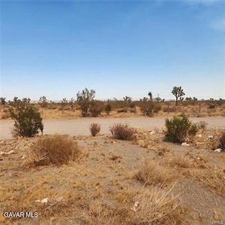 1595 La Mesa Rd, Pinon Hills, CA 92371