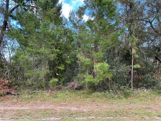 11136 Liberto Rd, Brooksville, FL 34614