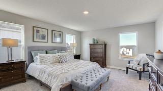 1429 Clover Preserve Ln, Chaska, MN 55318