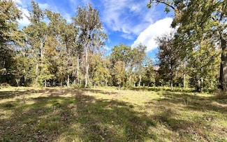 TBD SW Boston Terrace, Fort White, FL 32038