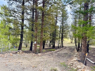 2886 Redhill Rd, Fairplay, CO 80440