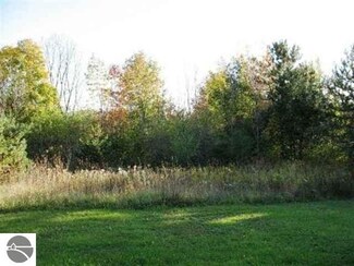 000 Severance St, Benzonia, MI 49616