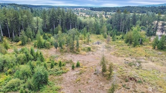 6319 133rd Ave SW, Rochester, WA 98579