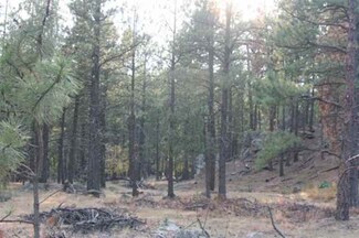 Lot 3 Playhouse Rd, Keystone, SD 57751