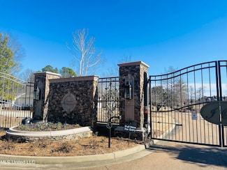 229 Ironwood Plantation Blvd, Madison, MS 39110