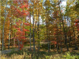 201 Long Branch Rd, Lookout Mountain, GA 30738